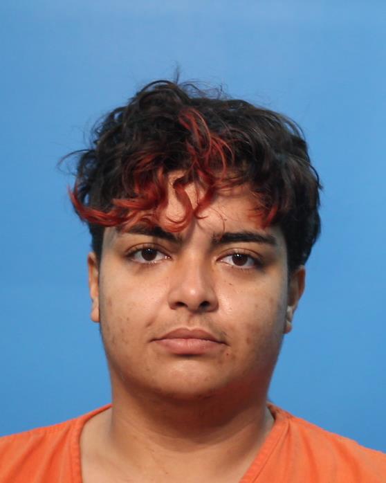 MORALES, DIANA booking photo