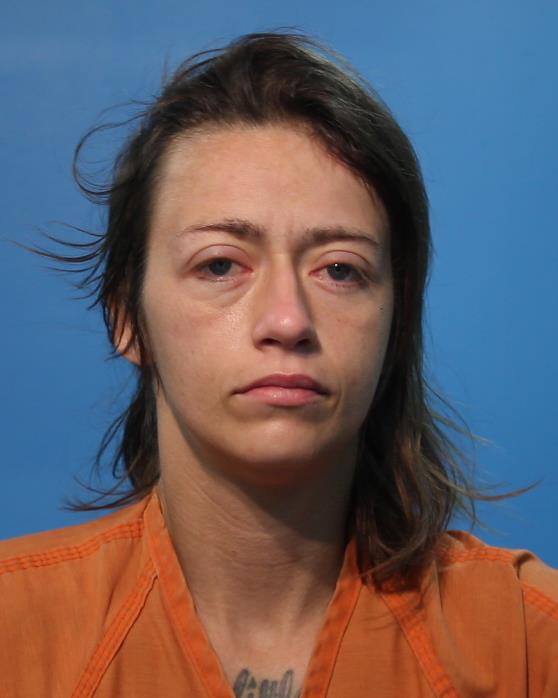 Larson, Amanda booking photo