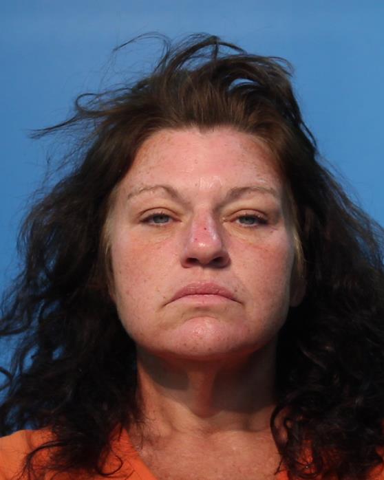 Johnson, Martha Diane booking photo