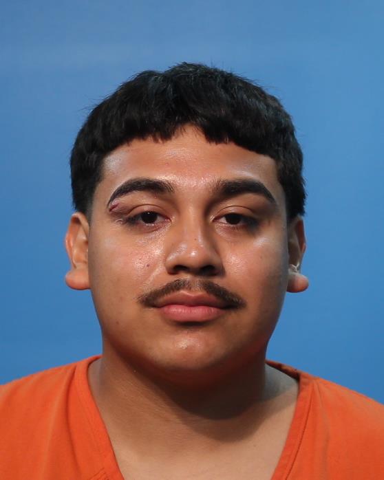 ELIZONDO, ORLANDO FABIAN, Jr. booking photo