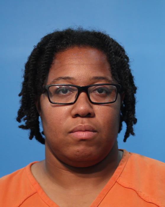 JOHNSON, KATTATHU RENEE booking photo