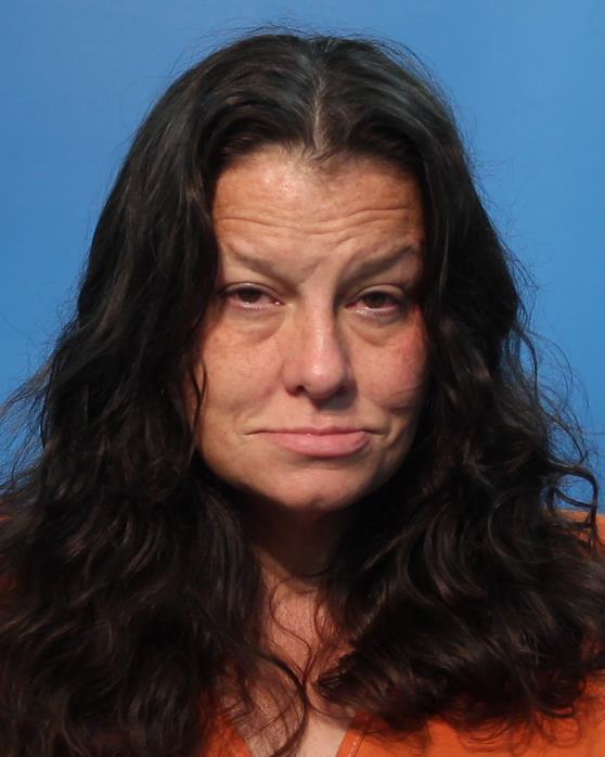 Laviolette, Suzanne Marie arrested by Brazoria County SO/PD