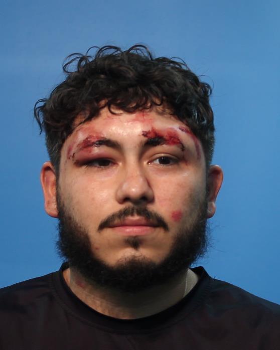 Alvarez-Castillo, Williams booking photo