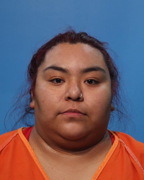 Hernandez, Viviana booking photo