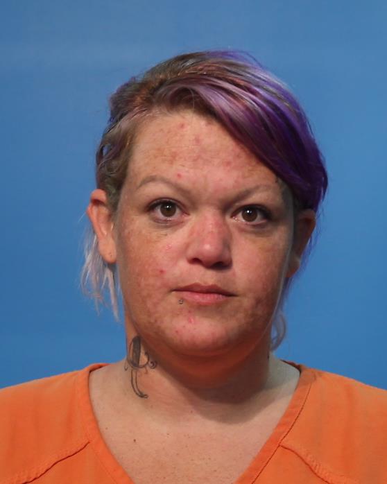 UNDERWOOD, Ashley Nicole arrested by CPF // DRIVING WHILE LICENSE INVALIDCPF // DRIVING WHILE LICENSE INVALIDCPF/ DRIVE WRONG WAY ON ONE-WAY ROADWAY