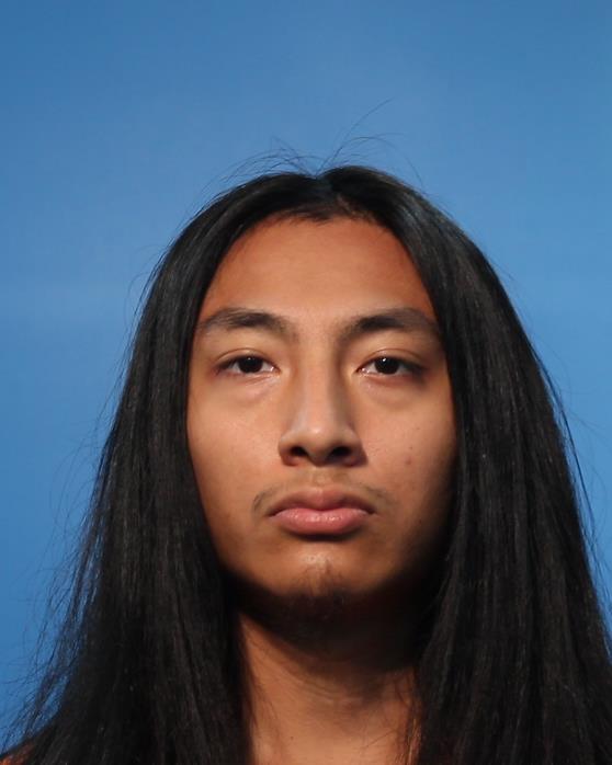 LEE, PETER BENNETT booking photo