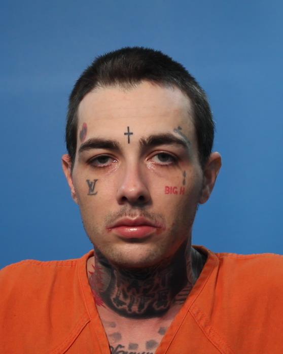 Perkins, Brandon Lee booking photo