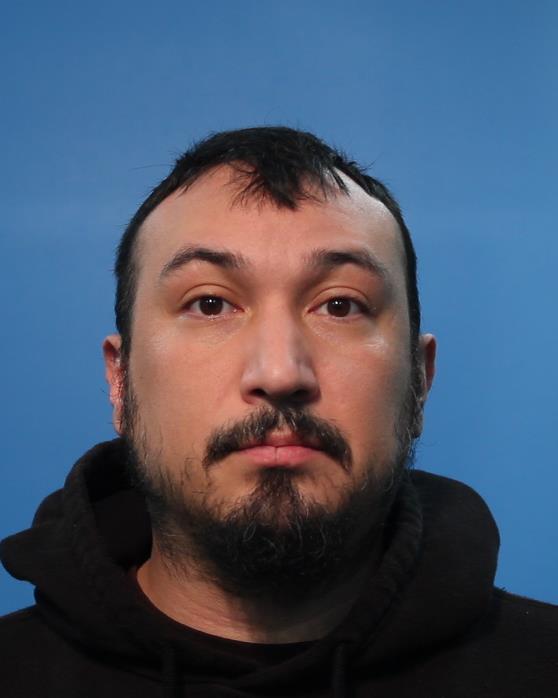 Torres, Ryan booking photo