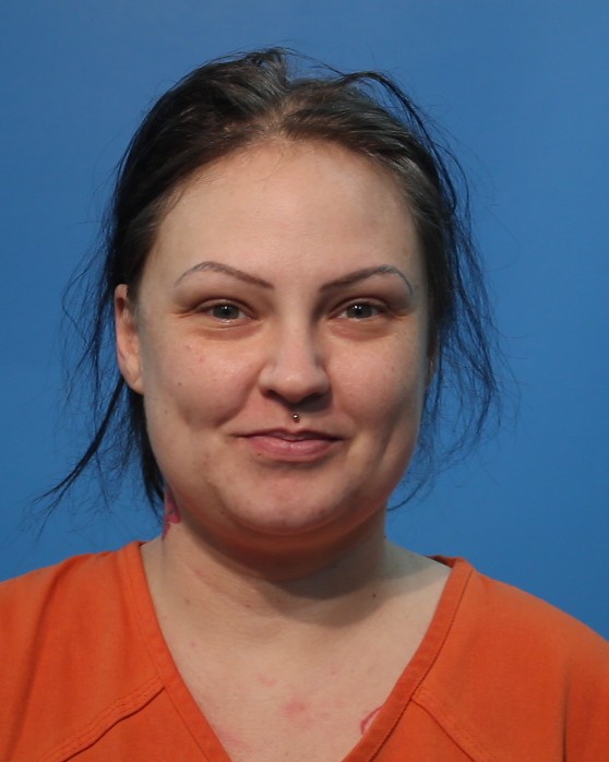 STEPHENSON, AMBER arrested by Alvin Police Department