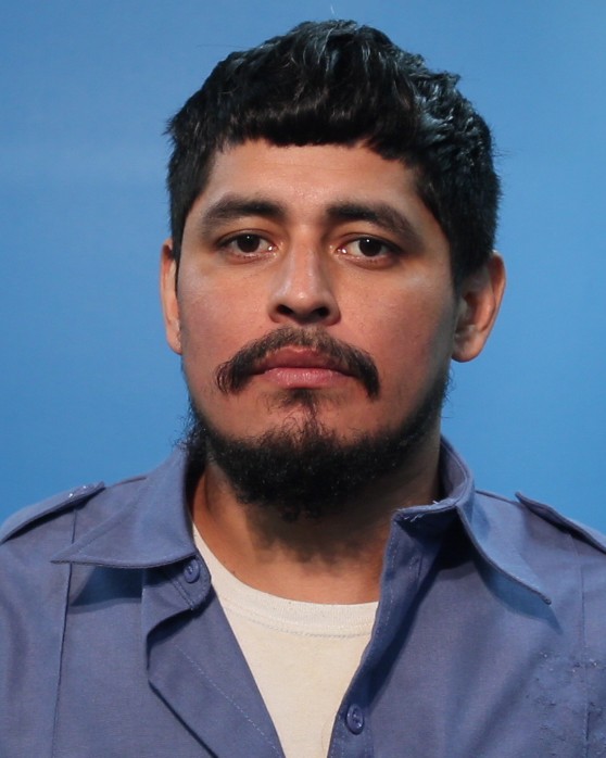 Guel, Edgar booking photo