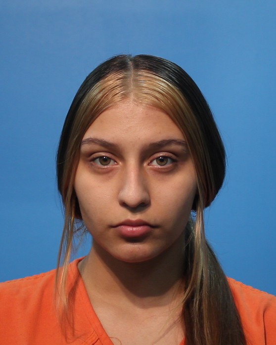 Hill, Kinsley Devon booking photo