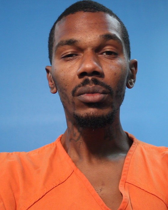 JOHNSON, TREMEL booking photo