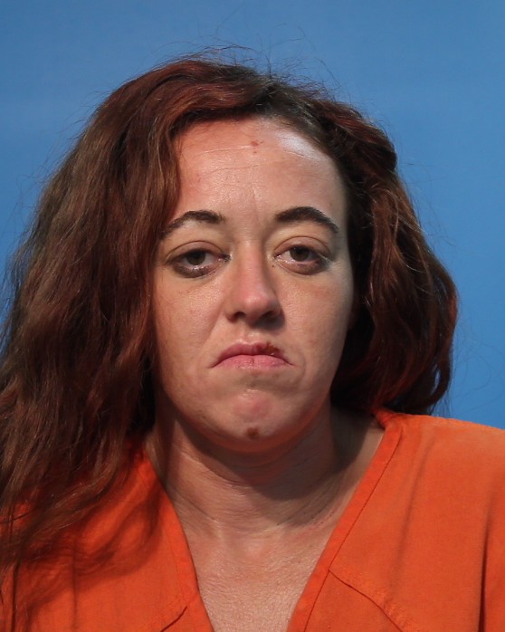 STEELE, MEGAN arrested by Brazoria County SO/PD