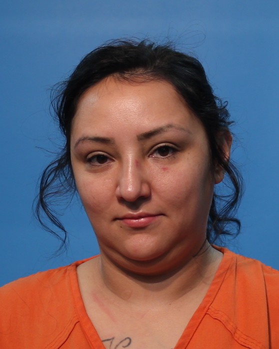 Gonzales, Priscilla booking photo