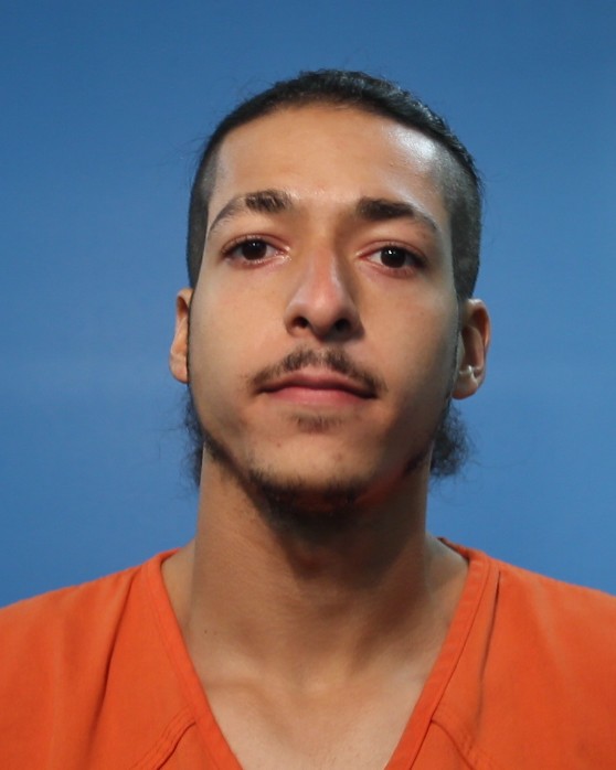 WILLIAMSON, JOHN MICHAEL booking photo