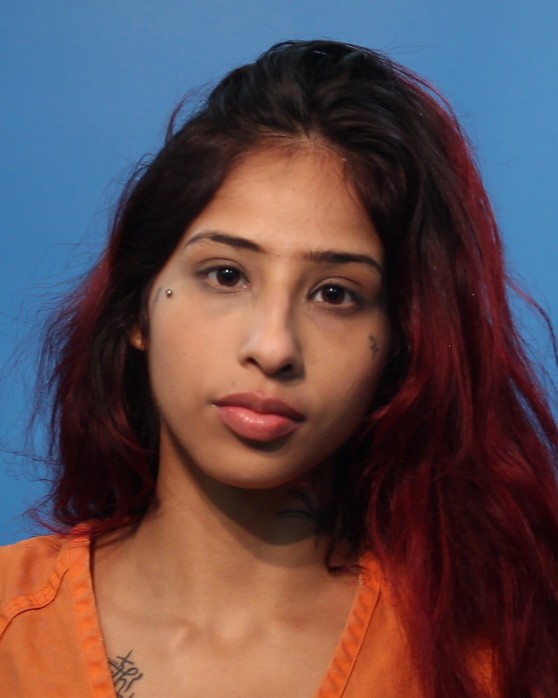 Reyes, Aydee booking photo