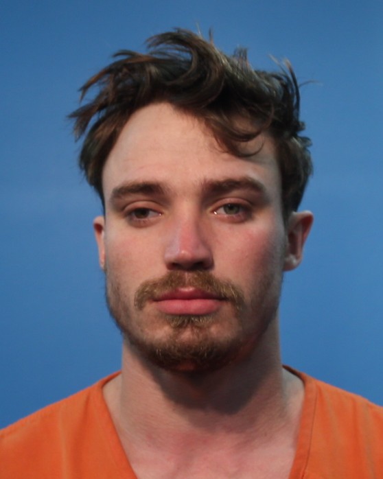 DUNN, WESLIE booking photo