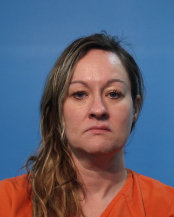 Davis, Jamie Michele arrested by Lake Jackson Police Department