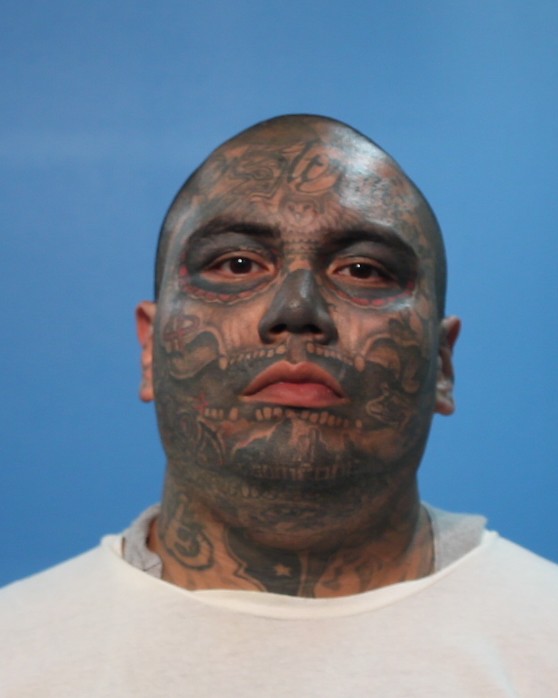 SANTANA, JOVANI arrested by Lake Jackson Police Department