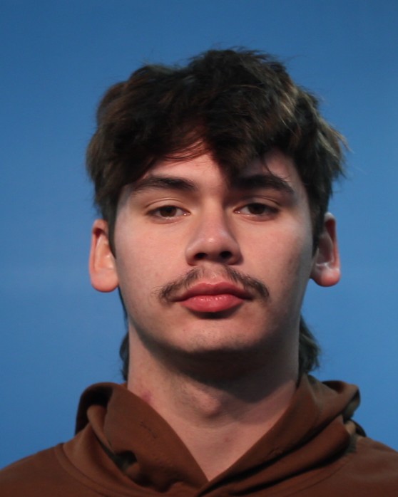 THOMPSON, BRENT booking photo