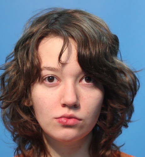 FRIUDENBERG, ARIEL arrested by Lake Jackson Police Department