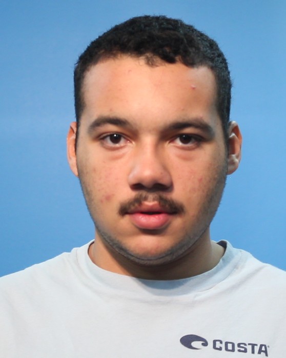 Williamson, Chase Eugene arrested by Angleton Police Department