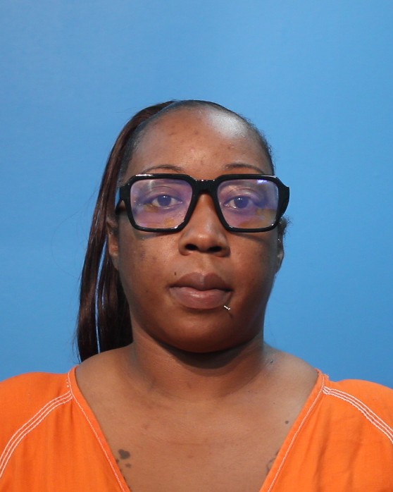 Harvey, Erika booking photo