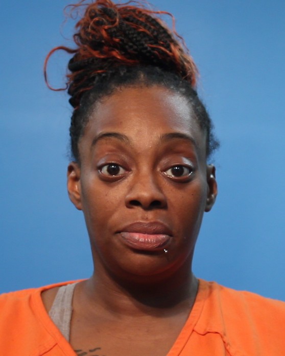 Biscoe, Delaney arrested by Brazoria County SO/PD