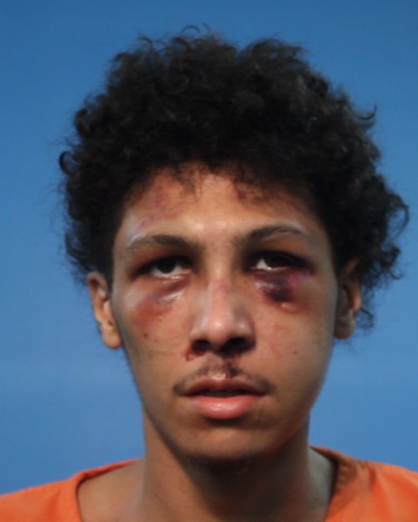 Johnson, Aaron booking photo