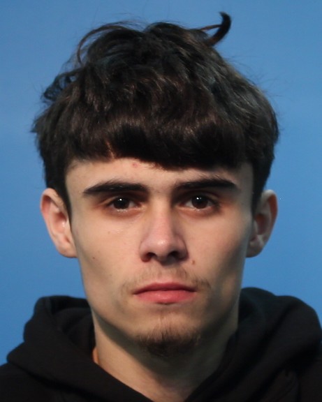 WILLIAMS, JOSHUA booking photo