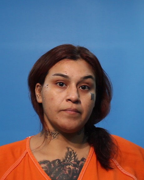 Andrio, Elizabeth booking photo