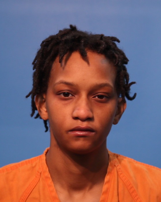 ROBINSON, RAVEN MICHELLE booking photo