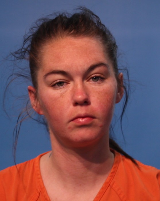 BRANTLEY, BRIDGETTE booking photo