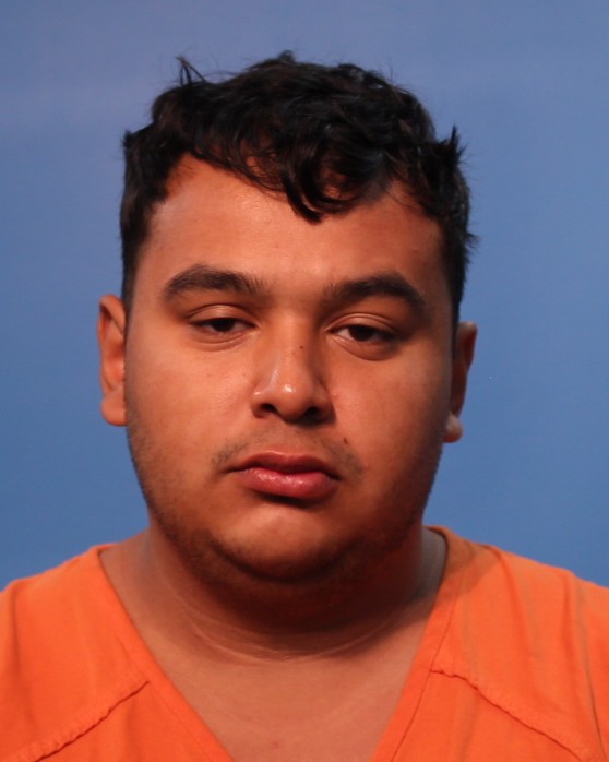 Castillo, Fabian booking photo