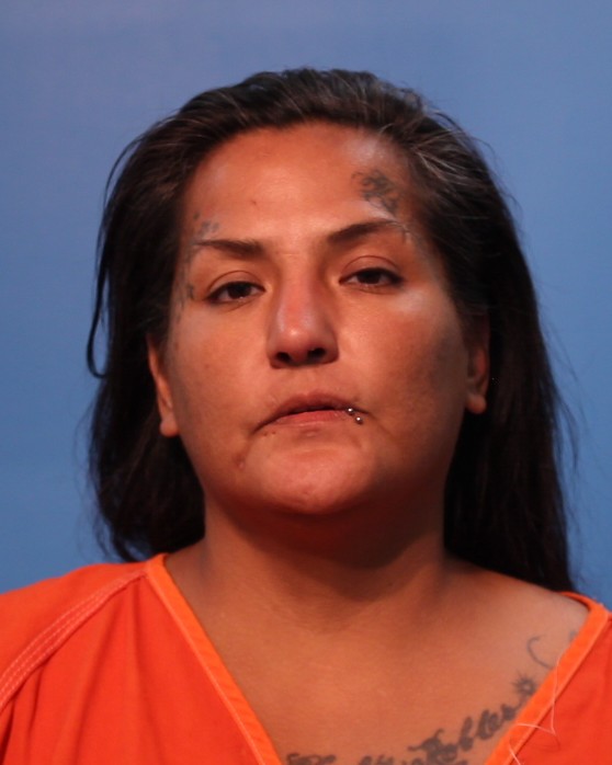 ROBLES, CYNTHIA ANN booking photo