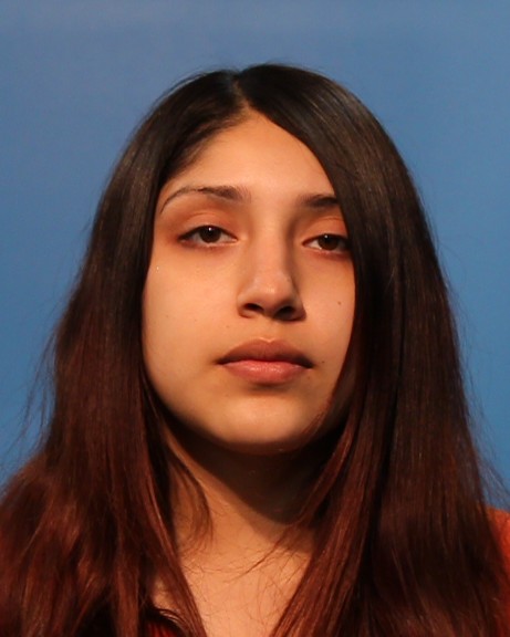 VIILLASANA, DANICA booking photo