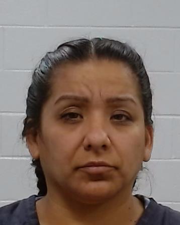 Gonzales, Cecilia booking photo