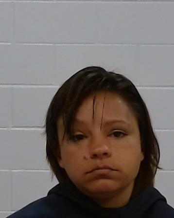 Anthony, Gina Louise booking photo