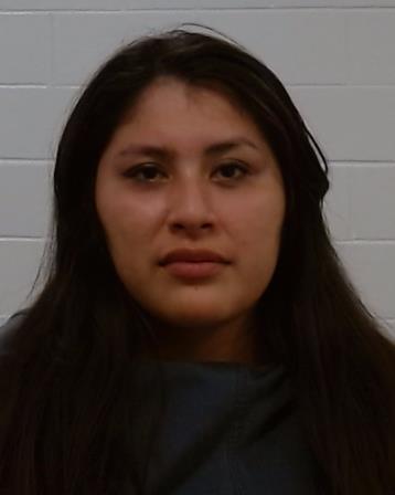 Telles, Vanessa booking photo