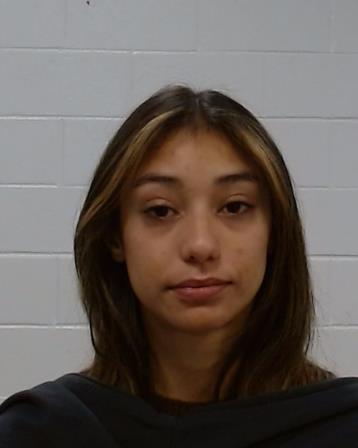 Orobitg Baca, Amber Kalei arrested by Collin County SO