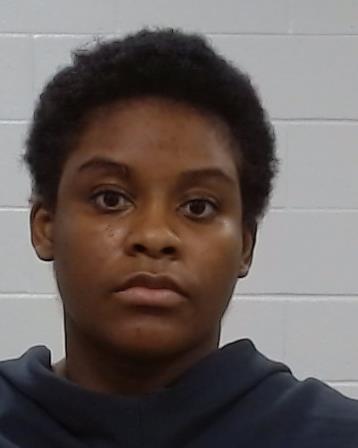 WILSON, BRIANA L arrested by Collin County SO