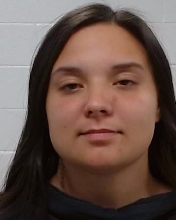 Sanders, Rustie Ann booking photo