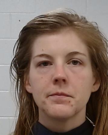 Lally, Shannon Jean arrested by Collin County SO