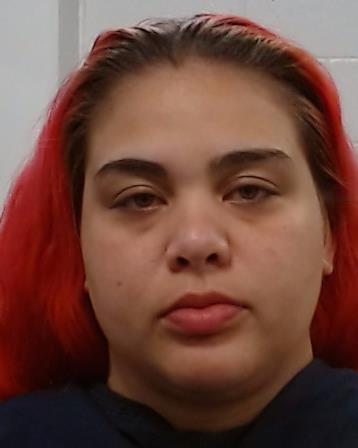 Bryson, Taya Keagan Michele arrested by Collin County SO