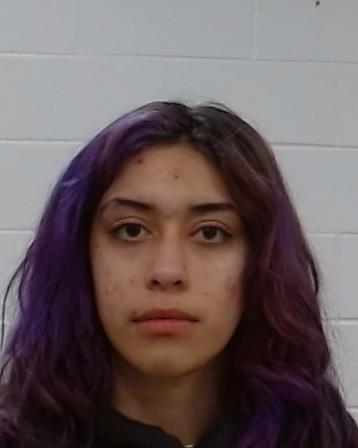Hernandez, Raizel booking photo