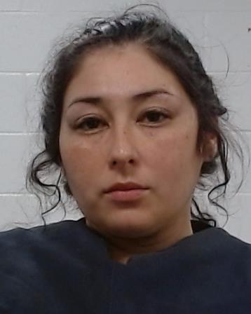 SANCHEZ, ANDREA ISABELLE booking photo