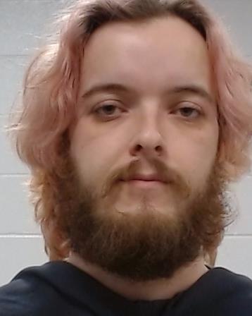 Collins, Avery Ward booking photo