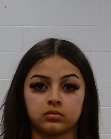 Sarad, Annika arrested by Collin County SO