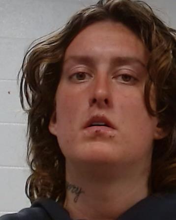 Minisquero, Natalie Ann arrested by Collin County SO