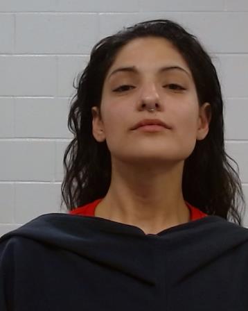 Cantu, Christina Ann booking photo